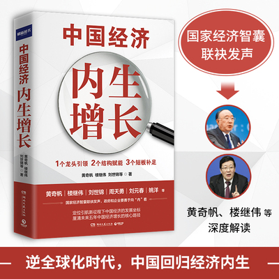 中国经济内生增长 黄奇帆刘世锦等著 经济智囊解读中国经济增长新势能厘清未来中国经济增长的核心路径 湖南文艺出版社
