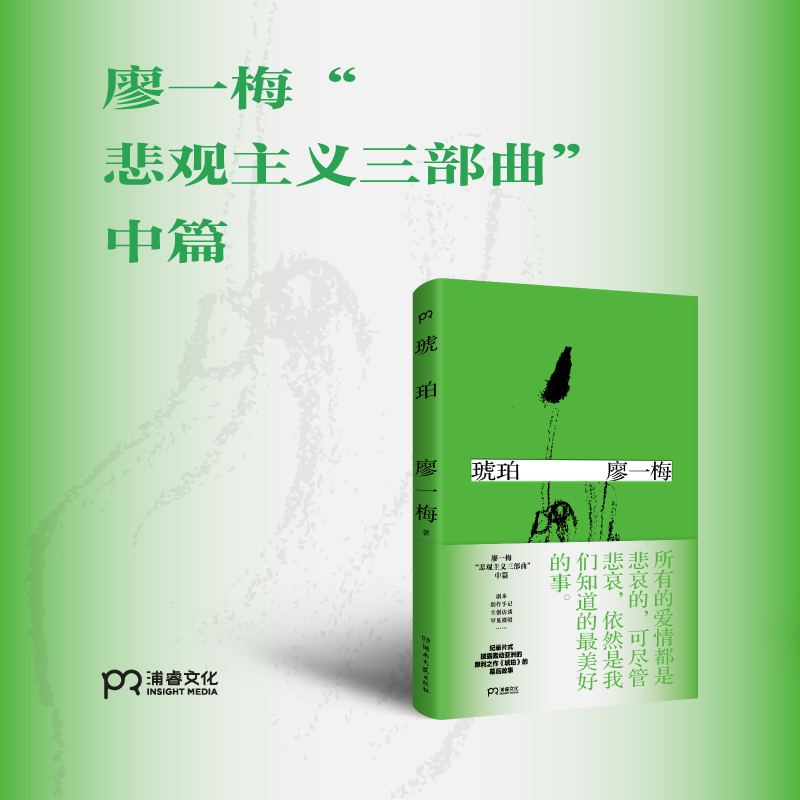 琥珀 廖一梅 著 悲观主义三部曲之一 恋爱的犀牛 柔软孟京辉 袁泉 刘烨 爱情故事 话剧剧本 戏剧文学 浦睿文化 正版