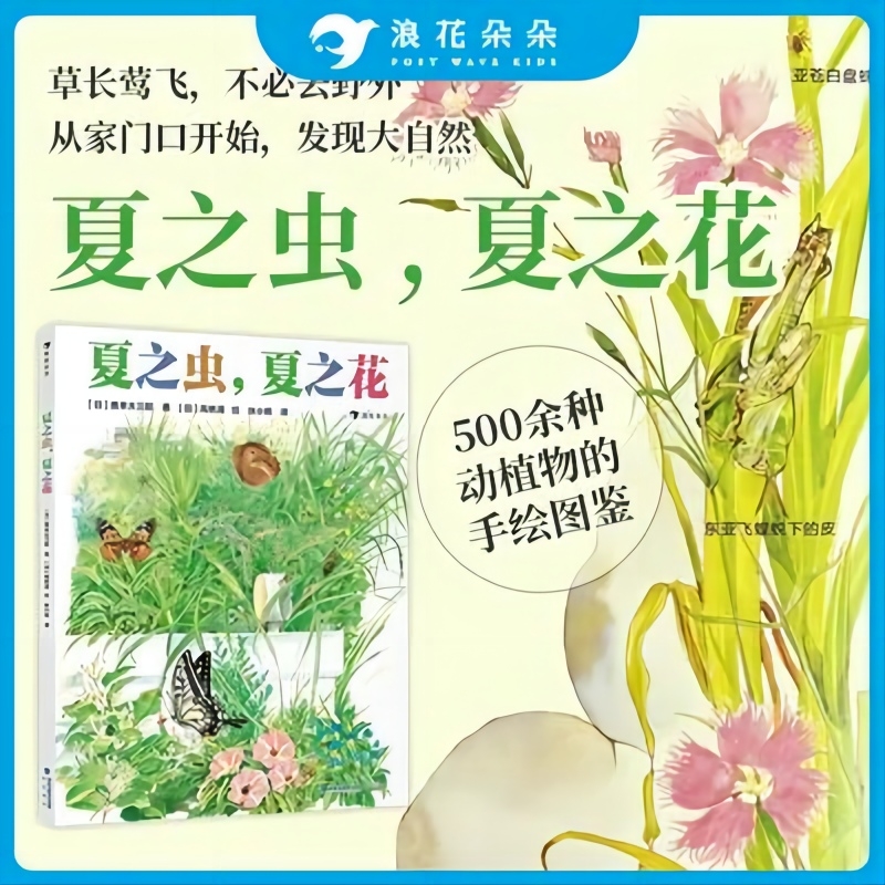 夏之虫花4-8岁季动植物自