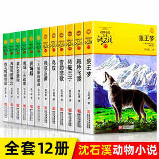 沈石溪动物小说全集全套12册品藏书系列 后一头战象四五六年级儿童文学小说 15周岁小学生课外书 狼王梦斑羚飞渡第七条猎狗