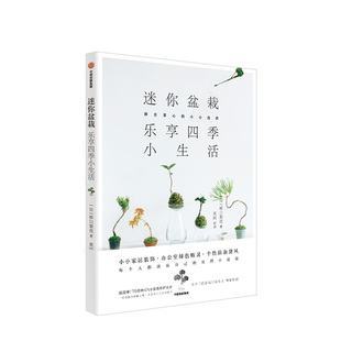 迷你盆栽 乐享四季小生活 桥口梨花 盆栽初学者入门指南 盆栽实用指南 迷你盆栽种类 中信出版社