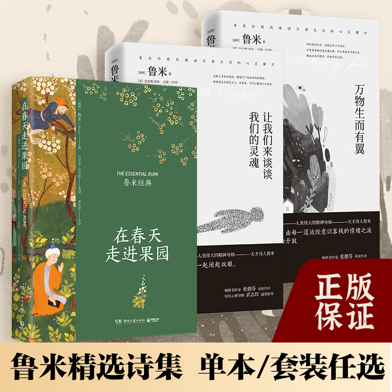 在春天走进果园 心灵诗人鲁米诗集单本 套装 插图典藏升级版 现代都市人疲惫生活的心灵解方 翻译家梁永安译本 现当代文学散文随笔