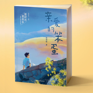 亲爱 新时代·新成长系列 徐海蛟 长篇现实主义儿童文学作品 笨蛋