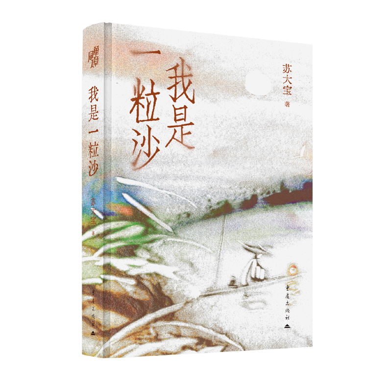 《我是一粒沙》苏大宝/著官方正版艺术人物自传传记作品书籍沙画版《平凡的世界》 从北漂到开创中国沙画到春晚奥运丝路火星