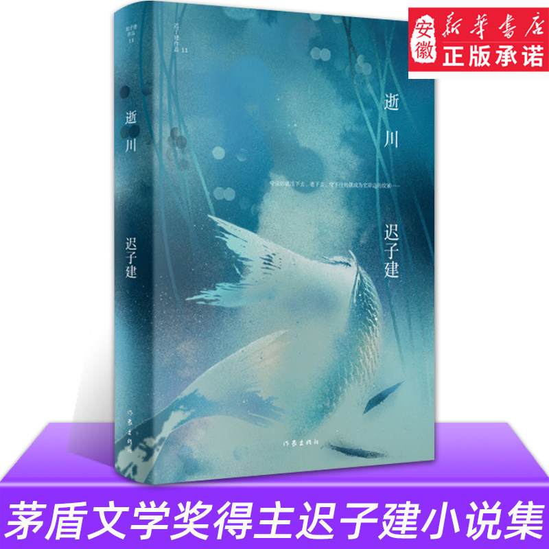 逝川 迟子建作品 短篇小说集精装 收录北国一片苍茫 采浆果的人 沉睡的大固其固 微风入林等散文集小说书 作家出版社