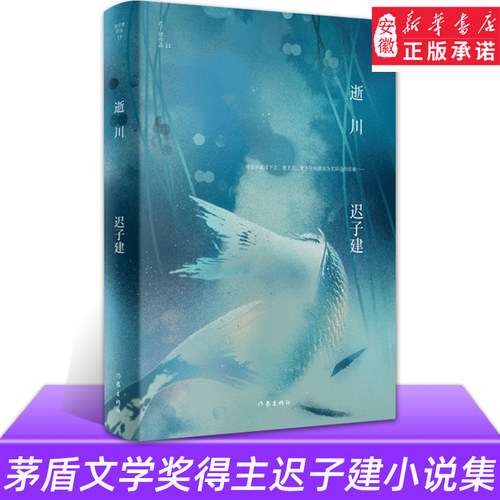 逝川 迟子建作品 短篇小说集精装 收录北国一片苍茫 采浆果的人 沉睡的大固其固 微风入林等散文集小说书 作家出版社