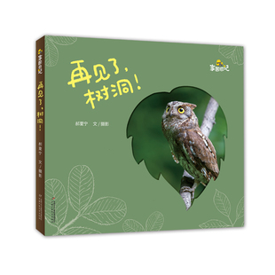 家园日记——再见了 树洞