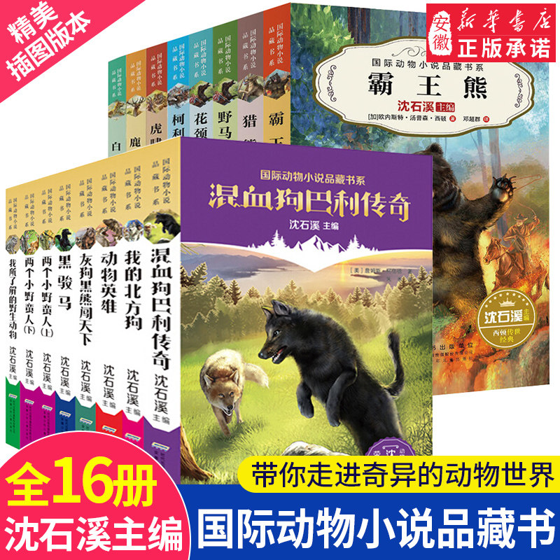沈石溪国际动物小说品藏书系全16册鹿王白牙沈石溪动物小说7-12-15岁小学生一二三四五六年级课外阅读书籍 阅读畅销 文学书怎么样,好用不?