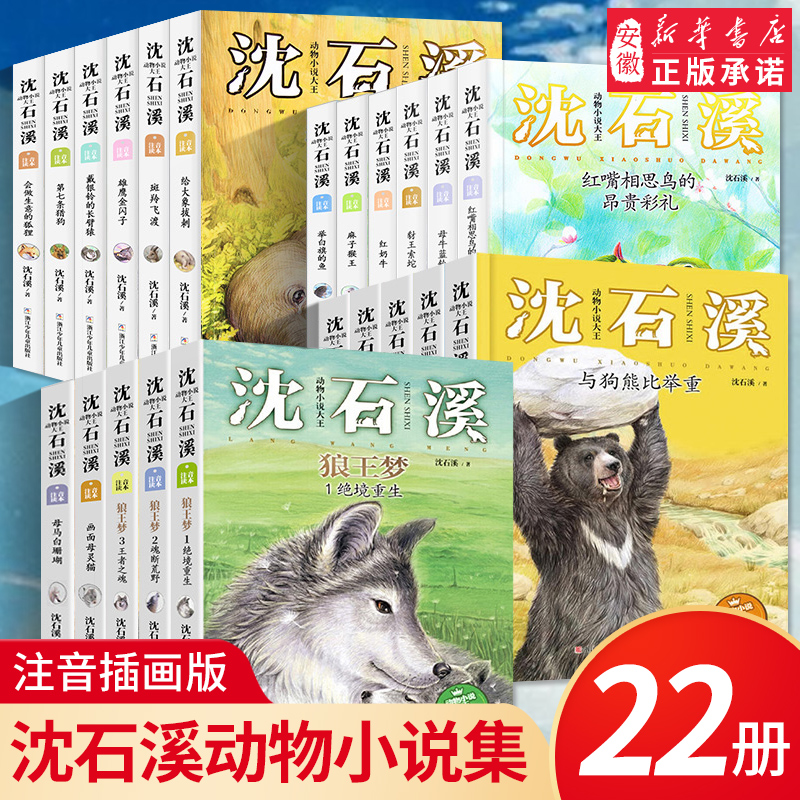 沈石溪动物小说注音版读本全集全套22册 狼王梦斑羚飞渡沈石溪的书动物小说系列儿童文学6-8-9-10-12岁小学生课外阅读书籍正版绝境 书籍/杂志/报纸 儿童文学 原图主图