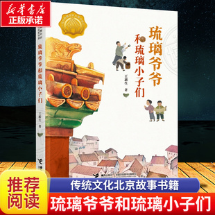 正版包邮 琉璃爷爷和琉璃小子们 王新生接力杯曹文轩儿童小说奖作品儿童文学中小学生课外阅读传统文化北京故事书籍