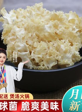 新疆包邮绣球菌干 干货500g绣球菇云南特产绣球菌菇粉绣球菌粉蘑