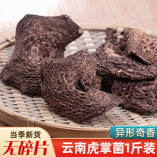 野生黑虎掌菌干货500g云南特产虎掌菇新鲜菌菇蘑菇非獐子菌煲汤料