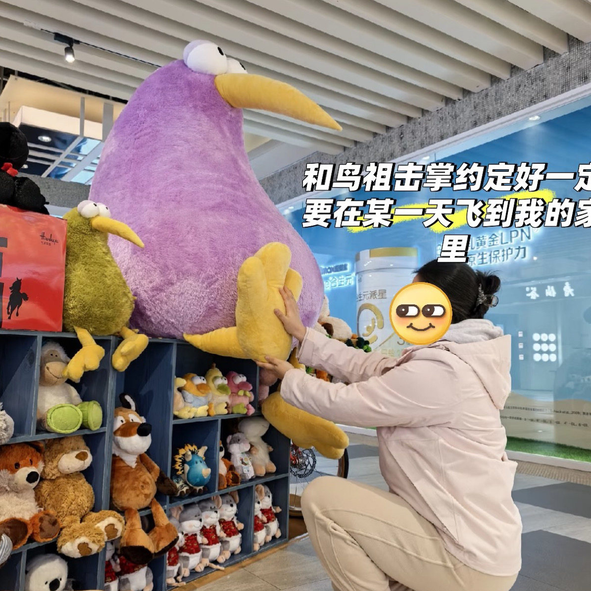 超大几维鸟玩偶巨大毛绒玩具送女友生日礼物公仔