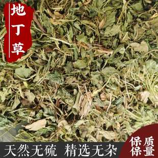 紫花地丁草500g克 中药材天然野生鲜地丁 新货正品柴花苦地丁