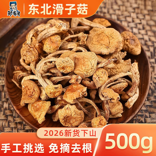 东北滑子菇香菇干货新鲜无根