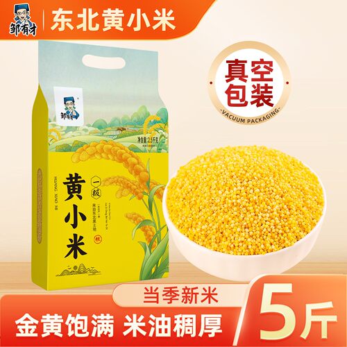 东北黄小米新米油丰富稠厚