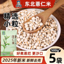 新鲜小薏米正宗薏仁米五谷杂粮薏苡仁红豆赤小豆薏米仁泡水尝鲜