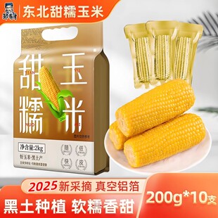 2025新货东北黄糯玉米棒10支新鲜东北黏粘苞米大棒低脂早餐非即食