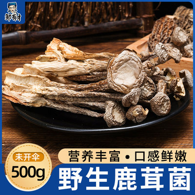 鹿茸菇新鲜干货500g煲汤食材