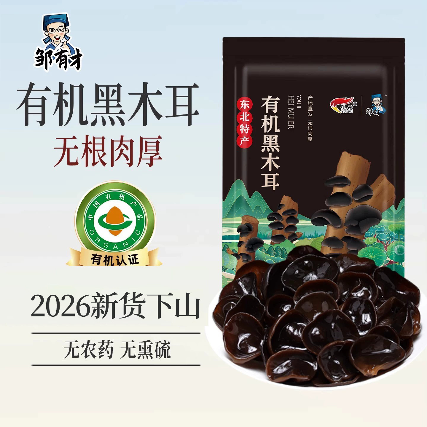 东北有机秋木耳干货牡丹江椴木小碗耳非特级非野生黑龙江特产