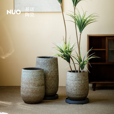 陶瓷花盆30以上大口径龟背竹盆栽