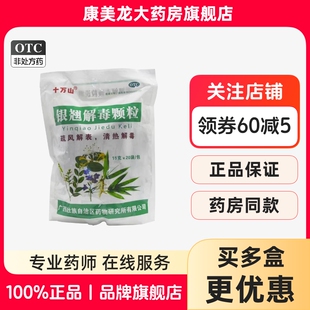 十万山 银翘解毒颗粒15g*20袋/包口干头痛风热感冒