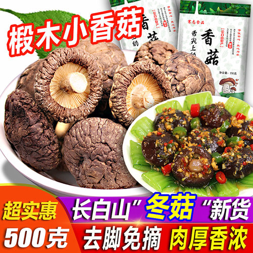 东北特产长白山蘑菇干500g椴木