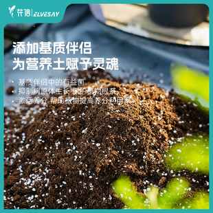 花信营养土养花土通用种菜专用基质伴侣草花月季家用盆栽泥炭土
