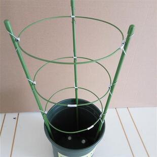 盆栽固定 兰花护叶架蕙兰叶子支撑架 蟹脚兰花架 套塑铁环花支柱