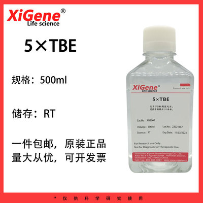 XiGene 5×TBE 核酸电泳缓冲盐溶液琼脂糖凝胶电泳TBE buffer