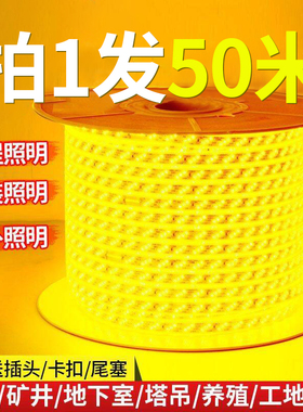 led灯带户外防水220v高压室外工程外墙装饰屋檐氛围暖光线软灯条