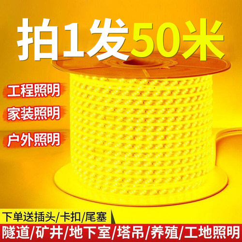 220v灯带工程户外防水高压暖光