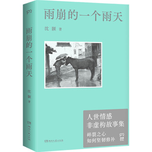 雨崩 湖南文艺出版 一个雨天 9787572620805 社 沈颢著 国图书店正版