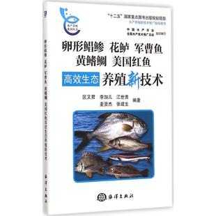 军曹鱼 黄鳍鲷 卵形鲳鲹 美国红鱼生态养殖新技术区又君海洋出版 社鱼类养殖现货 花鲈 全新正版