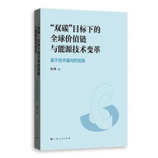 双碳 目标下 杨787208188013上海人民出版 国图书店 社 视角 全新正版 基于技术偏向 全球价值链与能源技术变革