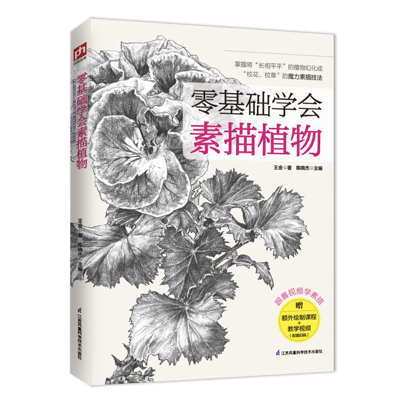国图书店正版 零基础学会素描植物 王金 9787553784052 江苏科学技术出版社
