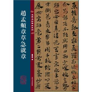 【国图书店】全新正版名碑名帖传承系列--赵孟頫章草急就章杨传玲 著 杨传玲 编9787575211093