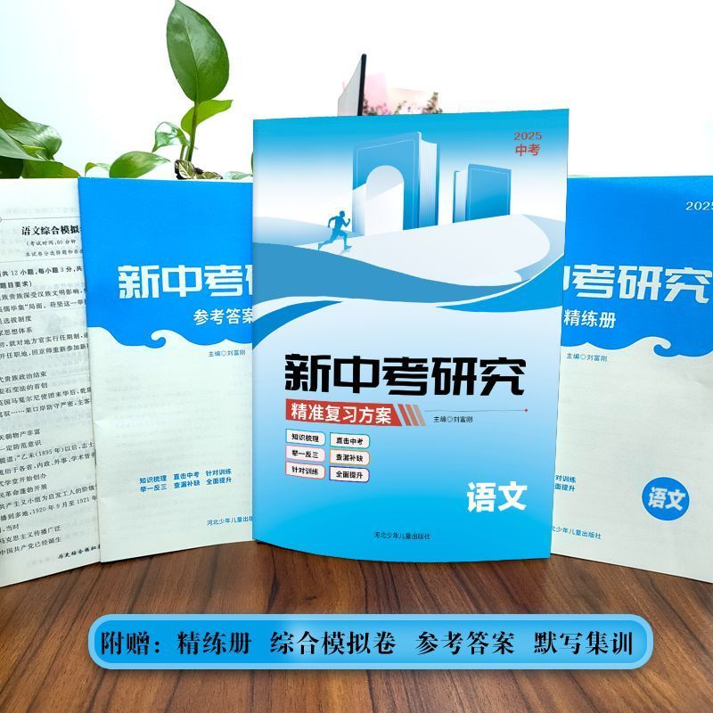 【国图书店】全新正版新中考研究精准复习方案语文 初中总复习知识梳理精讲精练九年级初三考必题直击中考zj/9787559557254