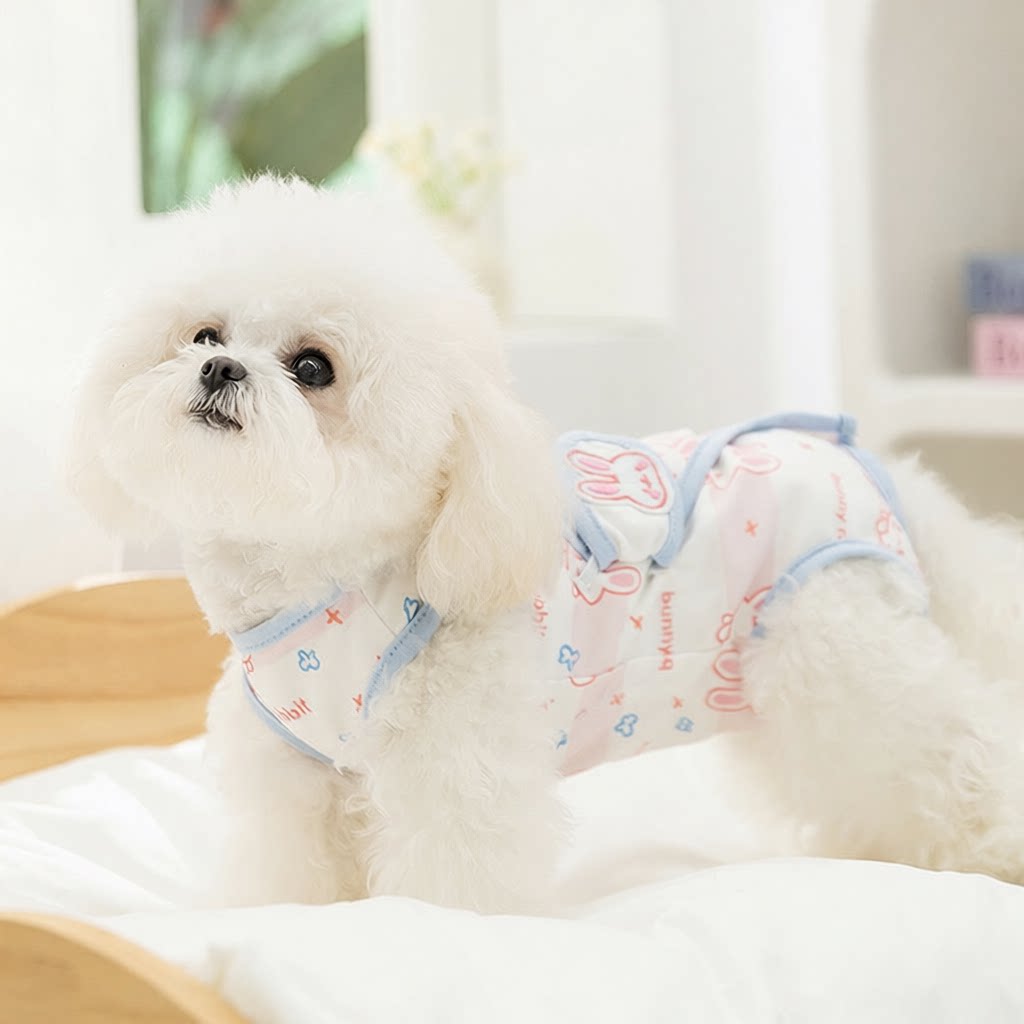 春夏季薄款小型犬包肚衣猫咪四脚断奶宠物手术服猫绝育服狗狗衣服