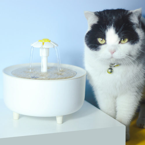 新款宠物饮水机自动循环过滤猫咪饮水机智能宠物喂水器流动水小猫