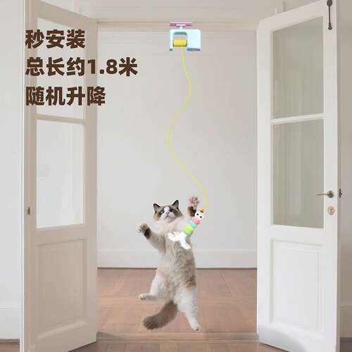 新款猫玩具自嗨解闷猫咪悠悠球玩具消耗体力电动逗猫玩具