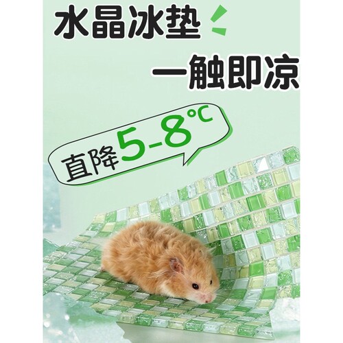 仓鼠冰垫凉席荷兰猪豚鼠龙猫兔子刺猬金丝熊凉垫夏季降温避暑用品
