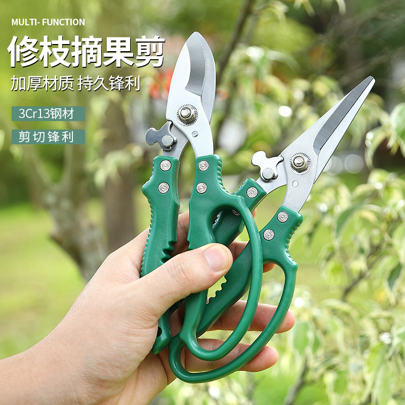园艺修枝剪不锈钢直头弯头款园林摘果剪修枝剪树枝剪鲜花剪刀