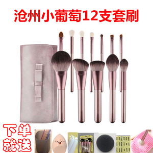 沧州12支小葡萄布丁化妆刷全套装眼影散粉受受小狼初学者彩妆工具