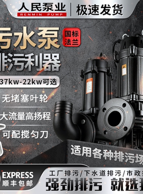 人民WQ国标污水泵大流量380v三相工业无堵塞潜水排污泵抽泥浆220v
