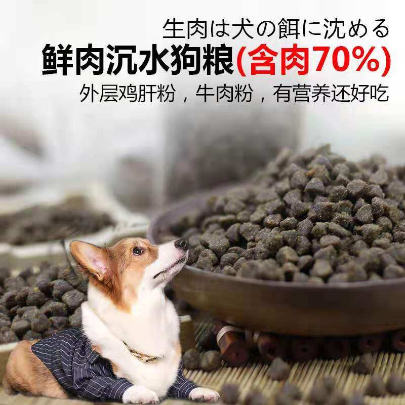 芙贝儿天然自制鲜肉沉水狗粮 70%鲜肉三文鱼牛肉鸡肉泰迪金毛5斤,宠物/宠物食品及用品,狗全价膨化粮,淘宝优惠券,粉丝福利购,淘宝优惠卷