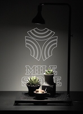 milestone 日式块根植物龟甲龙爬藤支架室内盆栽植物攀爬架绿植