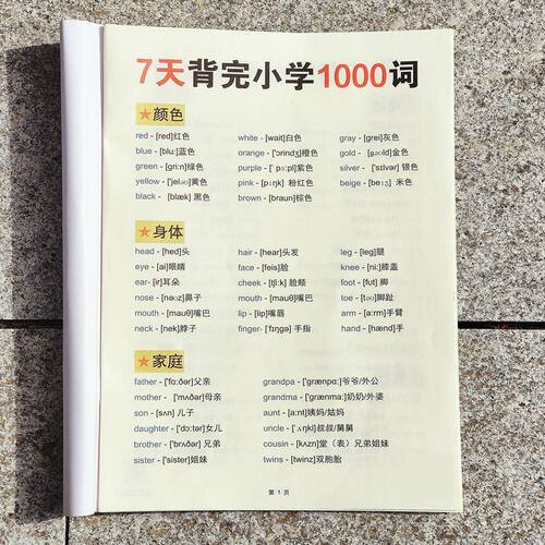 小学生英语基础知识点语