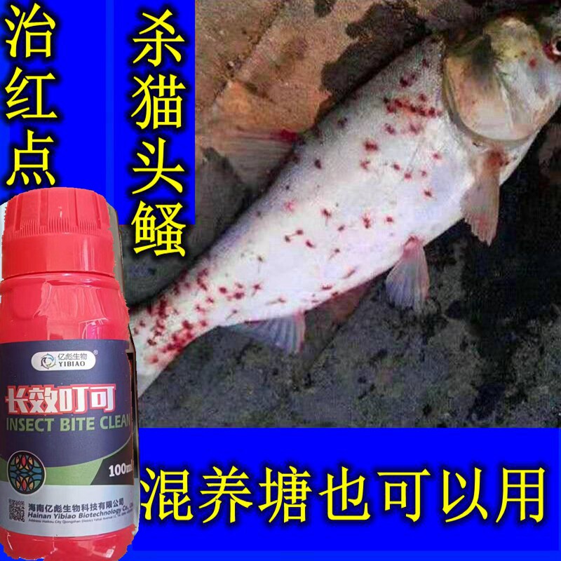 长效钉虫净 叮虫净鱼药钉蟲净 鱼虾蟹混养塘杀中华鳋杀猫头鳋红点