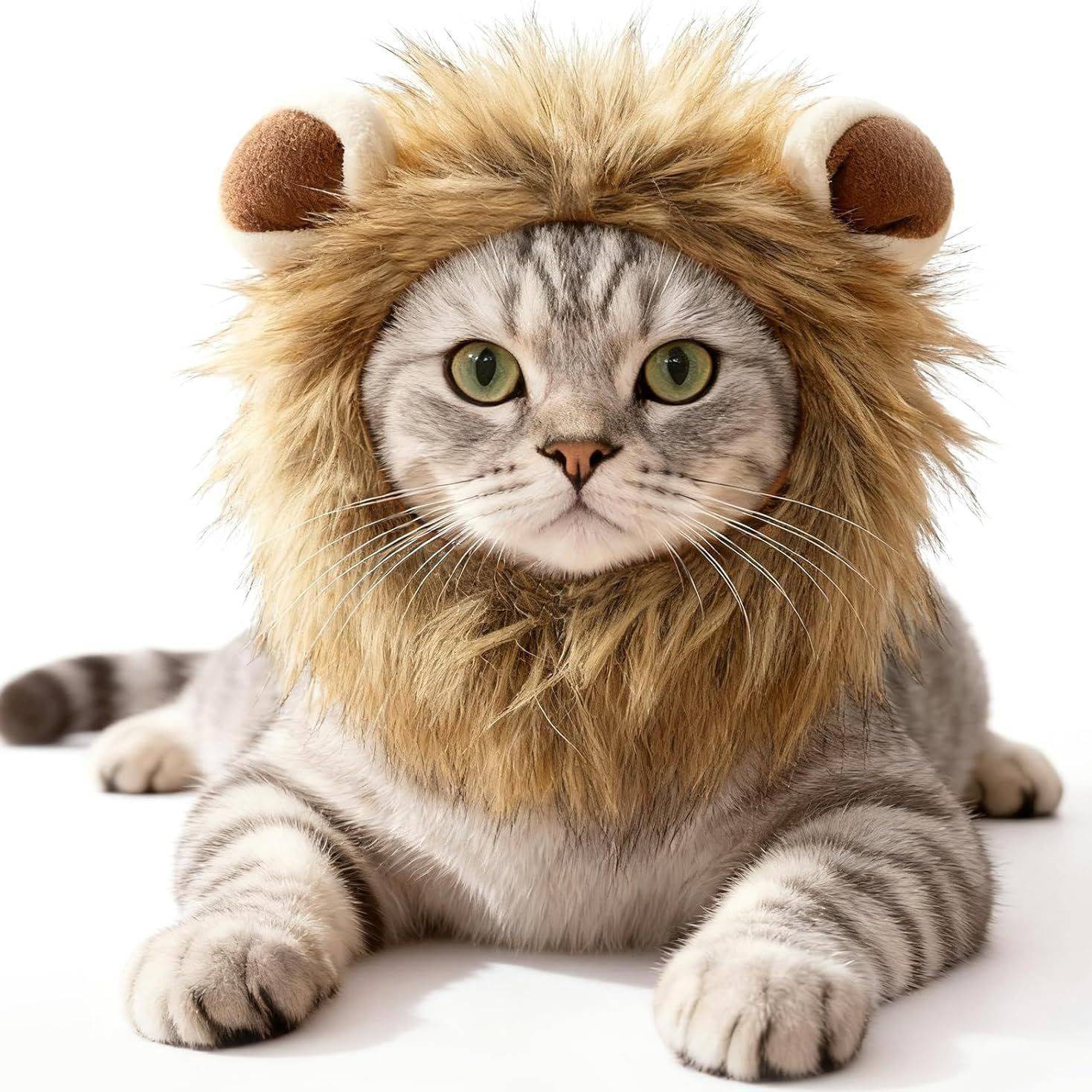 网红宠物猫狮子假发头套兔子耳朵搞怪头饰万圣节装扮帽子猫咪可爱